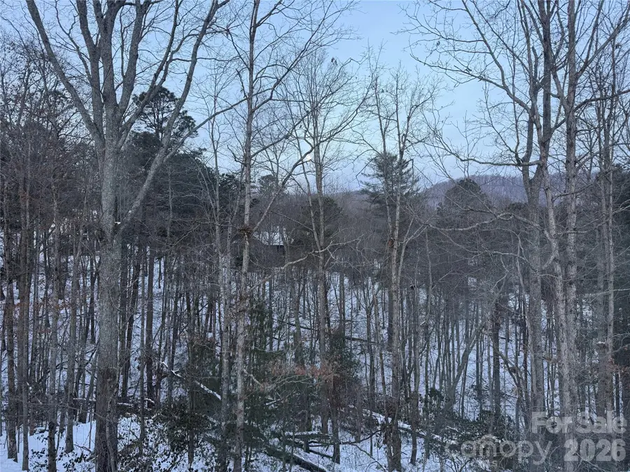 99999 Pole Creasman Road, Asheville, NC 28806 - #2