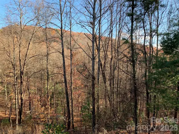TBD (Lot 4) Wolf Den Lane #4, Lenoir, NC 28645