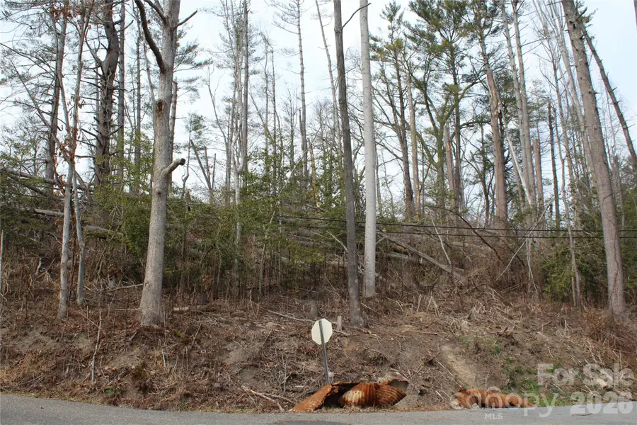 00 Monte Vista Circle, Spruce Pine, NC 28777 - #2