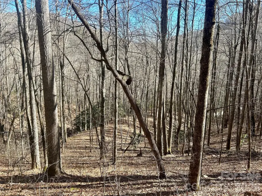 0 Deep Gap View #51&52&53, Whittier, NC 28789 - #3