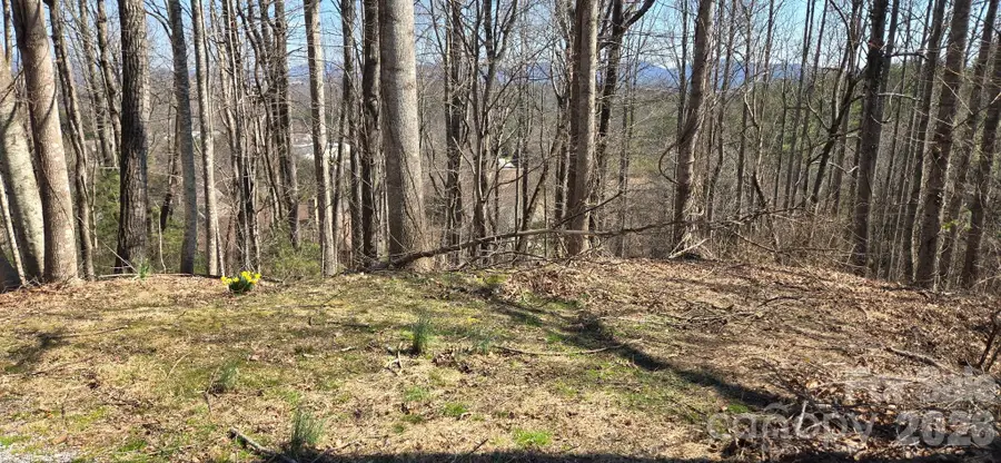 85 Shinnecock Drive #7, Mills River, NC 28759 - #2