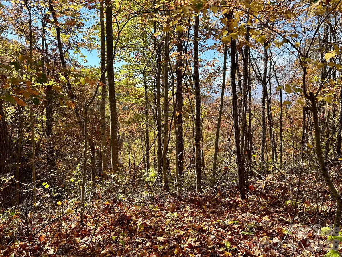 0 Owle View #30, Bryson City, NC 28713 - #1