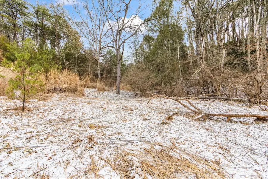 TBD Lower White Oak Road, Marshall, NC 28753 - #3
