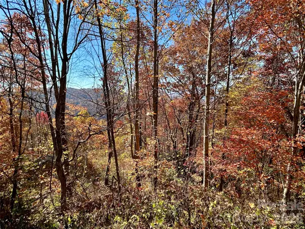 0 Grizzly Ridge #57, Bryson City, NC 28713