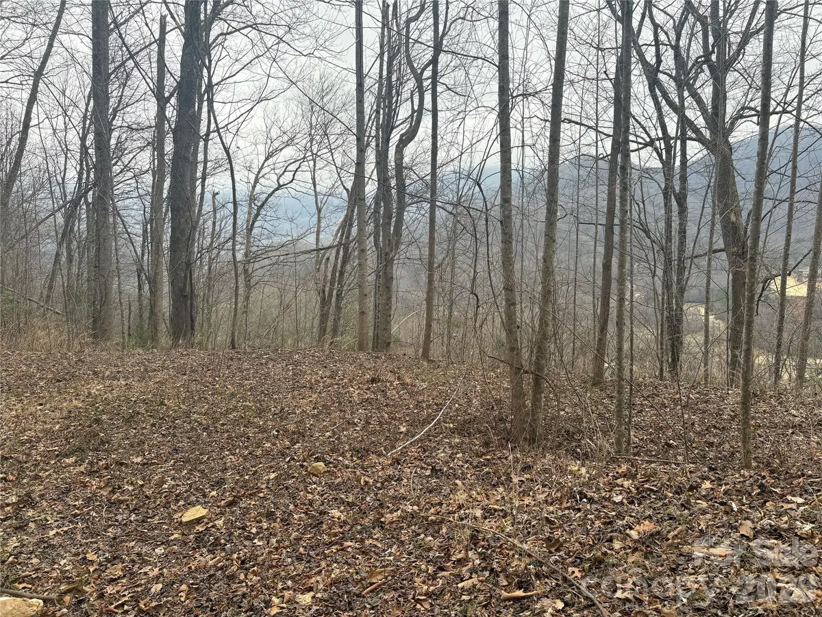 00 Country Club Drive #11, Whittier, NC 28789 - #1