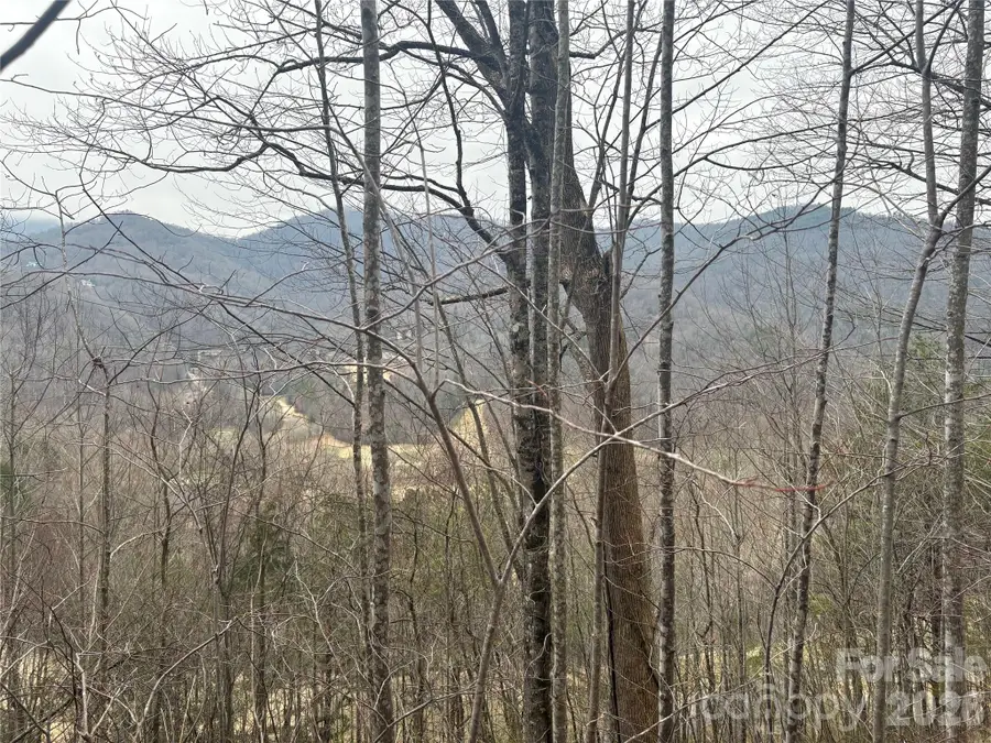 00 Country Club Drive #11, Whittier, NC 28789 - #2