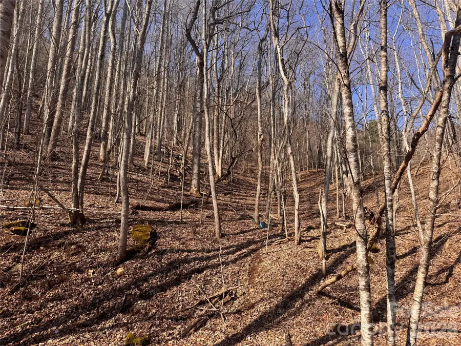 00 S Us 19 Highway E, Newland, NC 28657 - #3