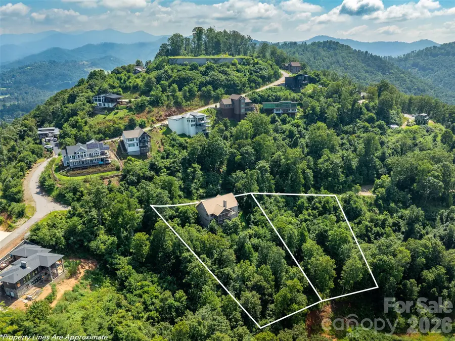 9 Soaring Hawk View, Asheville, NC 28804 - #3