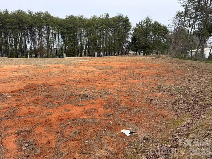 1399 Moss Ridge Road, Fort Mill, SC 29708 - #3