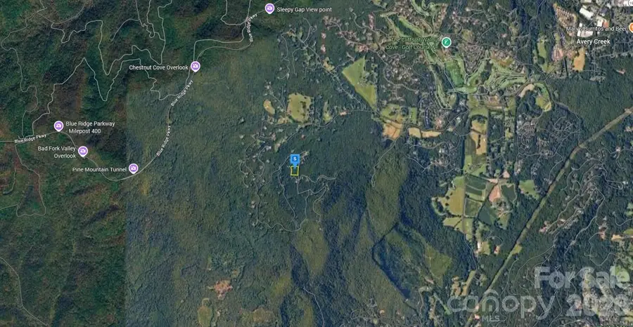 1229 Kanawa Lane, Arden, NC 28704 - #2