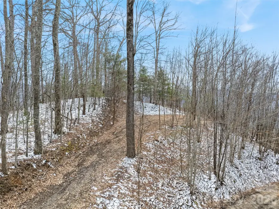 Lot #4 Viewpoint Mountain, Waynesville, NC 28786 - #2