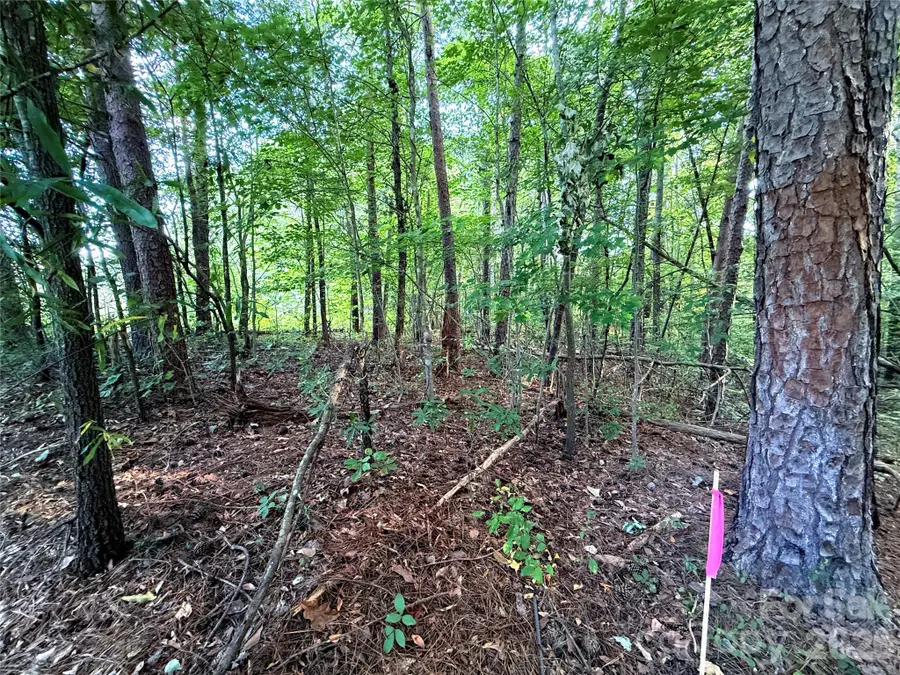 239 Carlie Street, Norwood, NC 28128 - #2