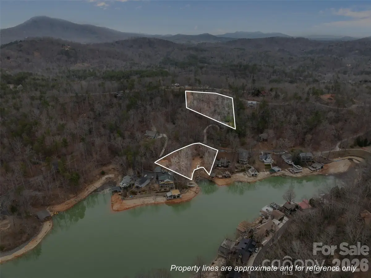 0 Buffalo Shoals Road #Tract IV, Lot 25, Lake Lure, NC 28746 - #1