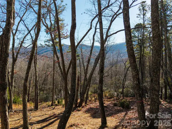 92 Smokey Ridge Trail, Arden, NC 28704