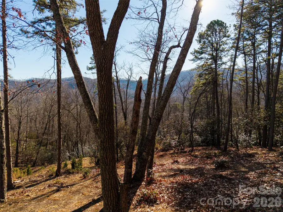 92 Smokey Ridge Trail, Arden, NC 28704 - #2