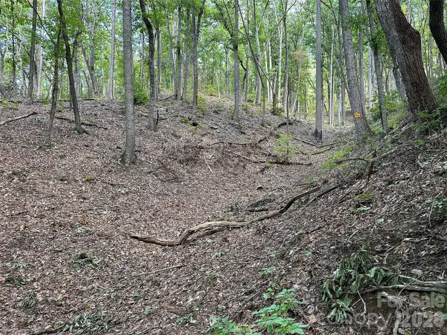 0 Hildebran Mountain Avenue, Connelly Springs, NC 28612 - #3