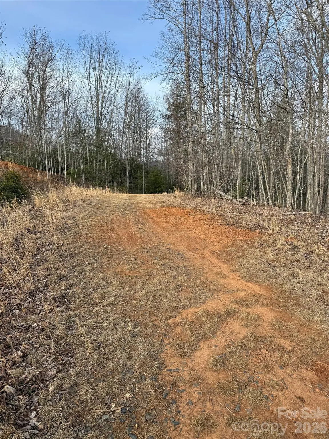 0 White Fawn Drive, Spruce Pine, NC 28777 - #1