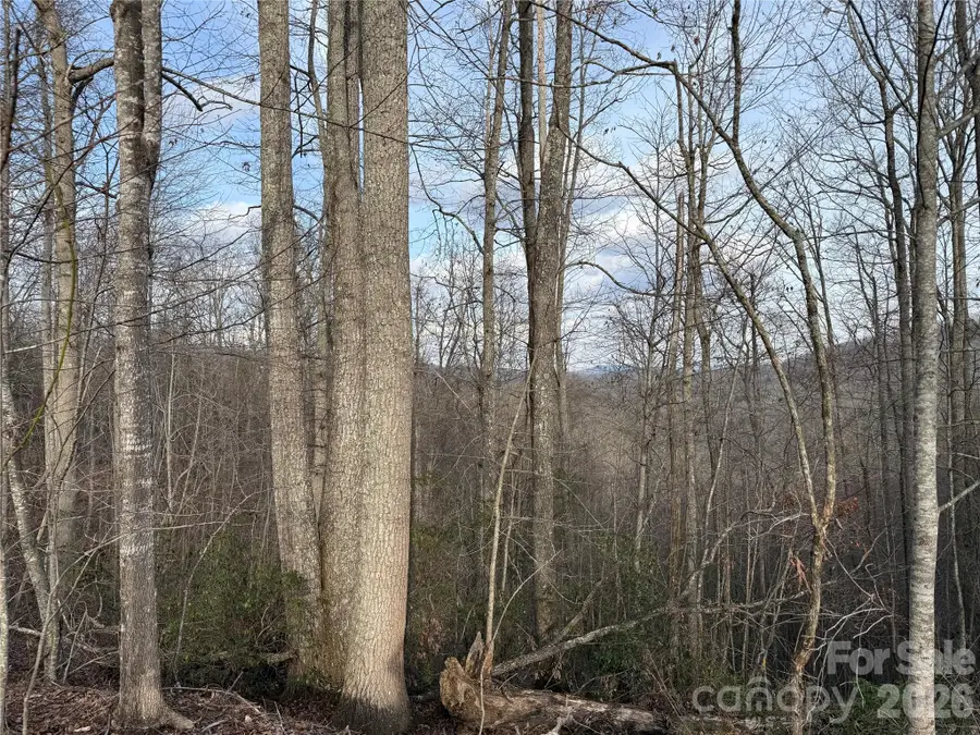 0 White Fawn Drive, Spruce Pine, NC 28777 - #3