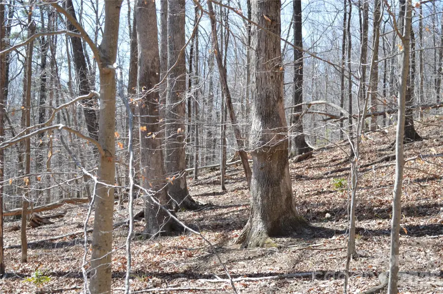 00 Shadow Creek Lane, Columbus, NC 28722 - #2