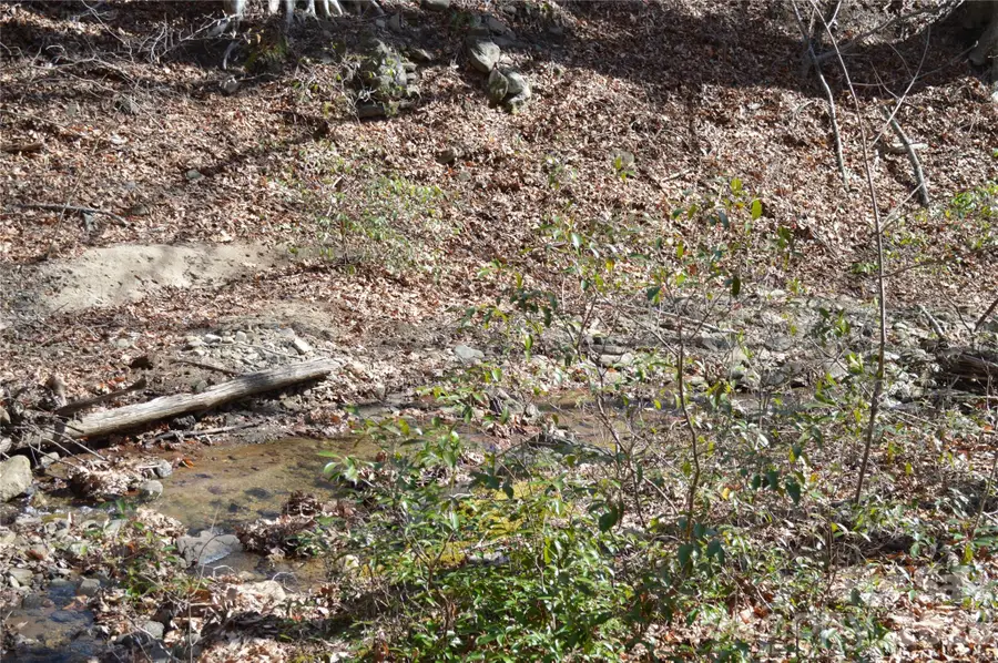 00 Shadow Creek Lane, Columbus, NC 28722 - #3