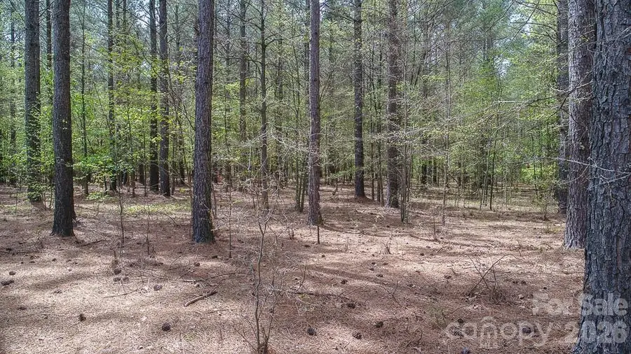 6307 Highway 205 Highway #7, Marshville, NC 28103 - #2