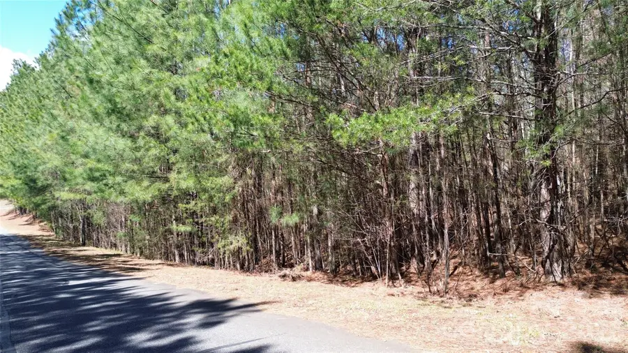 0 Chocolate Drop Circle #154, Hudson, NC 28139 - #3