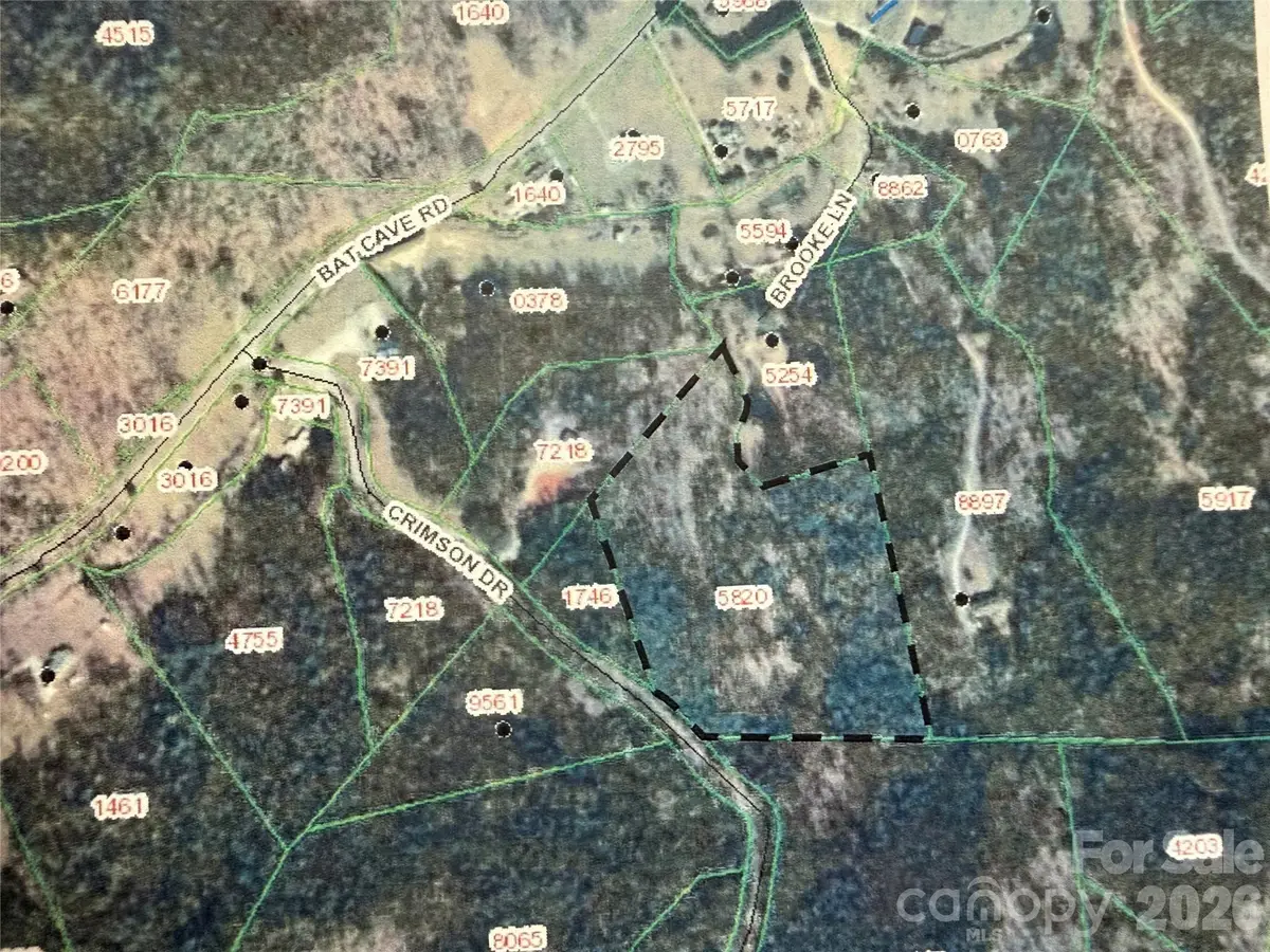 V/L Bat Cave Road, Old Fort, NC 28762 - #1