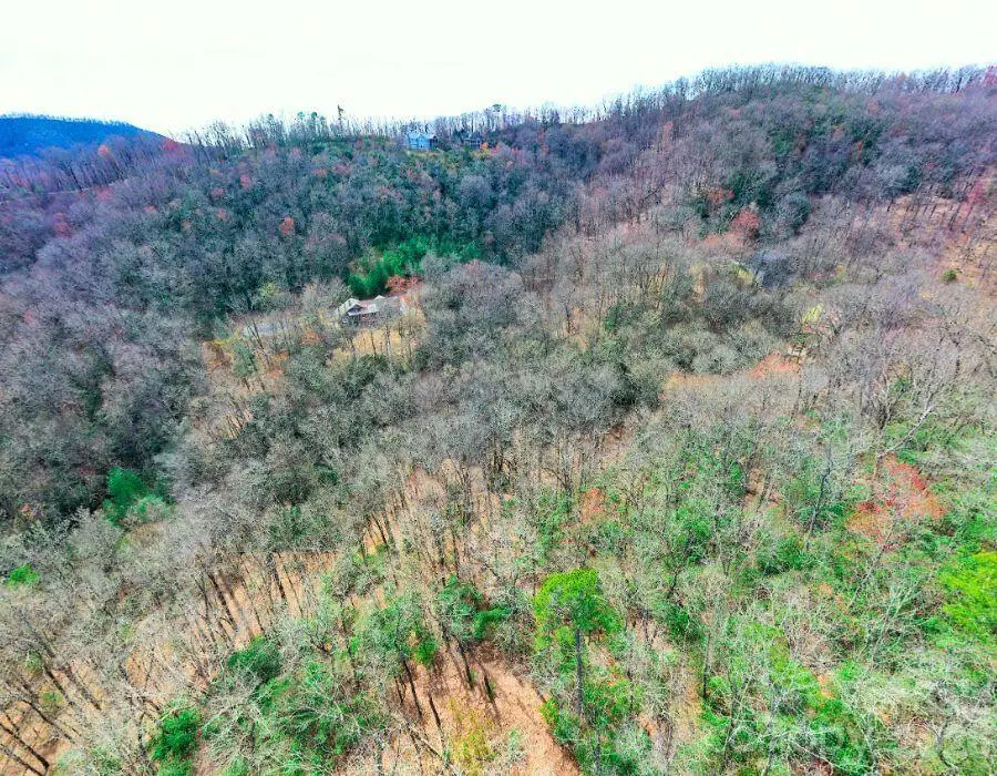 94 Caddis Lane, Horse Shoe, NC 28742 - #3