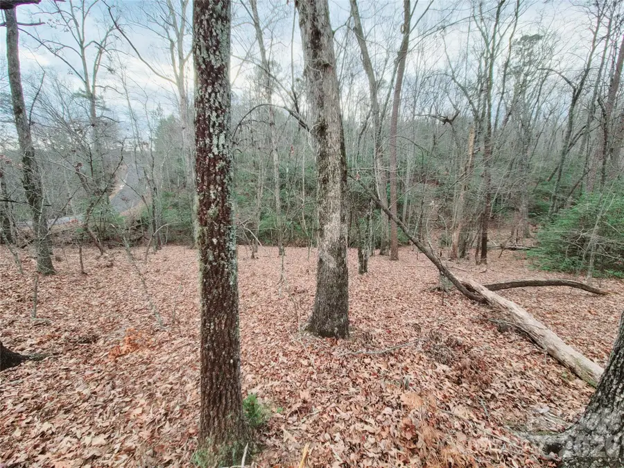 0 Birddog Boulevard #328, Lake Lure, NC 28746 - #2