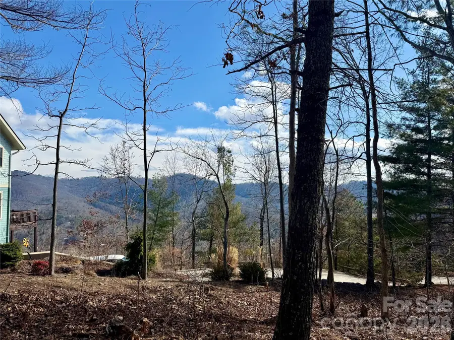 000 Rambling Ridge Road #16, Asheville, NC 28804 - #2