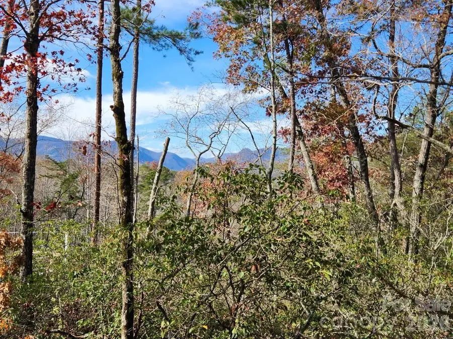 0 Sparrows Way #46, Lake Lure, NC 28746 - #3