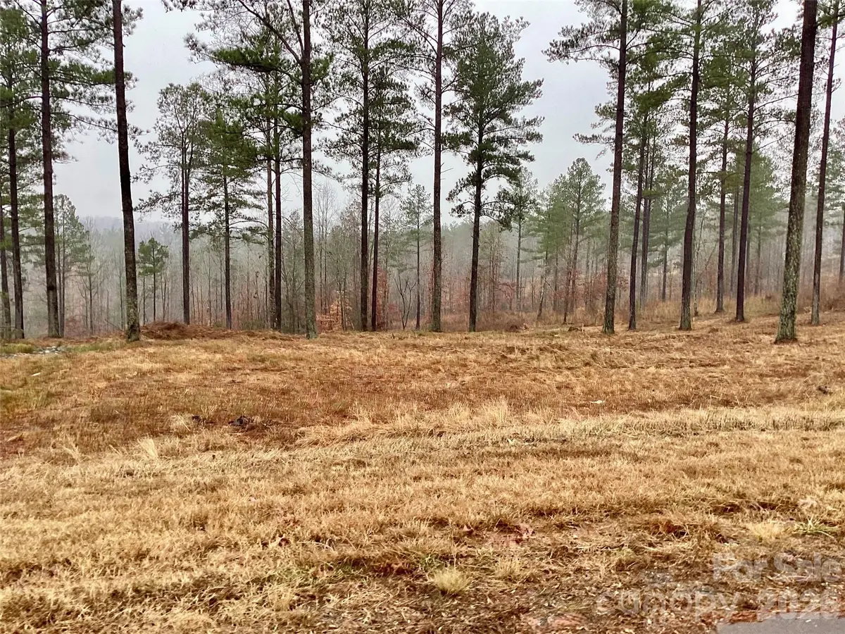 1838 Jumping Run #23, Connelly Springs, NC 28612 - #1