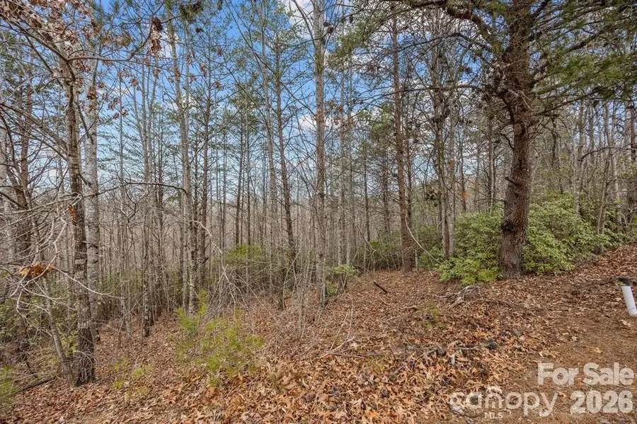 Lot 107 Glenhaven Drive, Marion, NC 28752 - #3