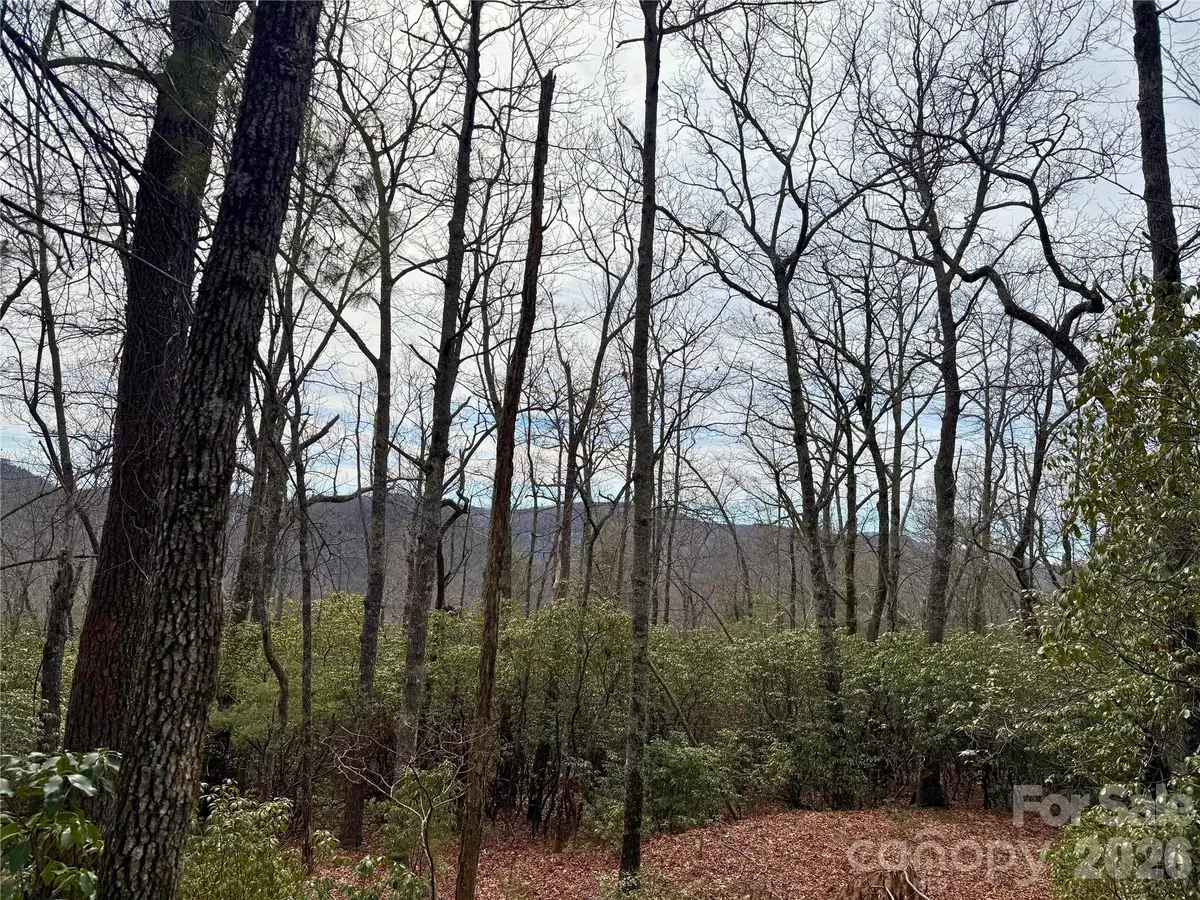 TBD Laurel Thicket Lane, Brevard, NC 28712 - #1