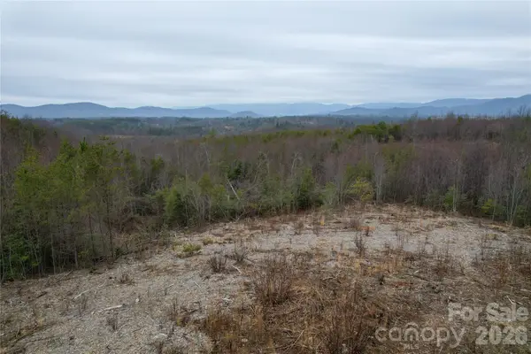 00 Baugess Mill Road, Traphill, NC 28685