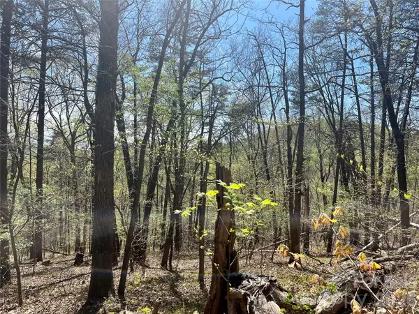 0 Pilgrim Church Road, Hiddenite, NC 28636