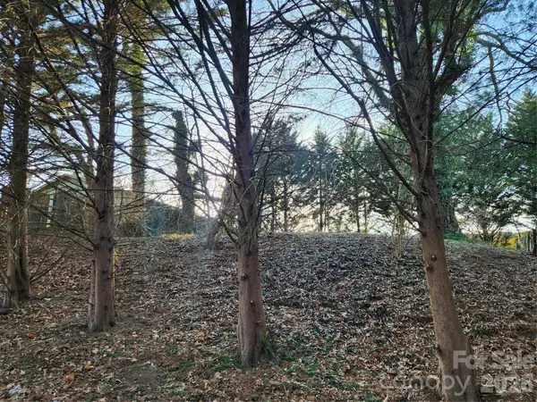 8 John Street, Asheville, NC 28801