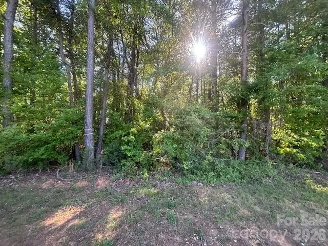 18001 Davidson Concord Road, Davidson, NC 28036 - #2