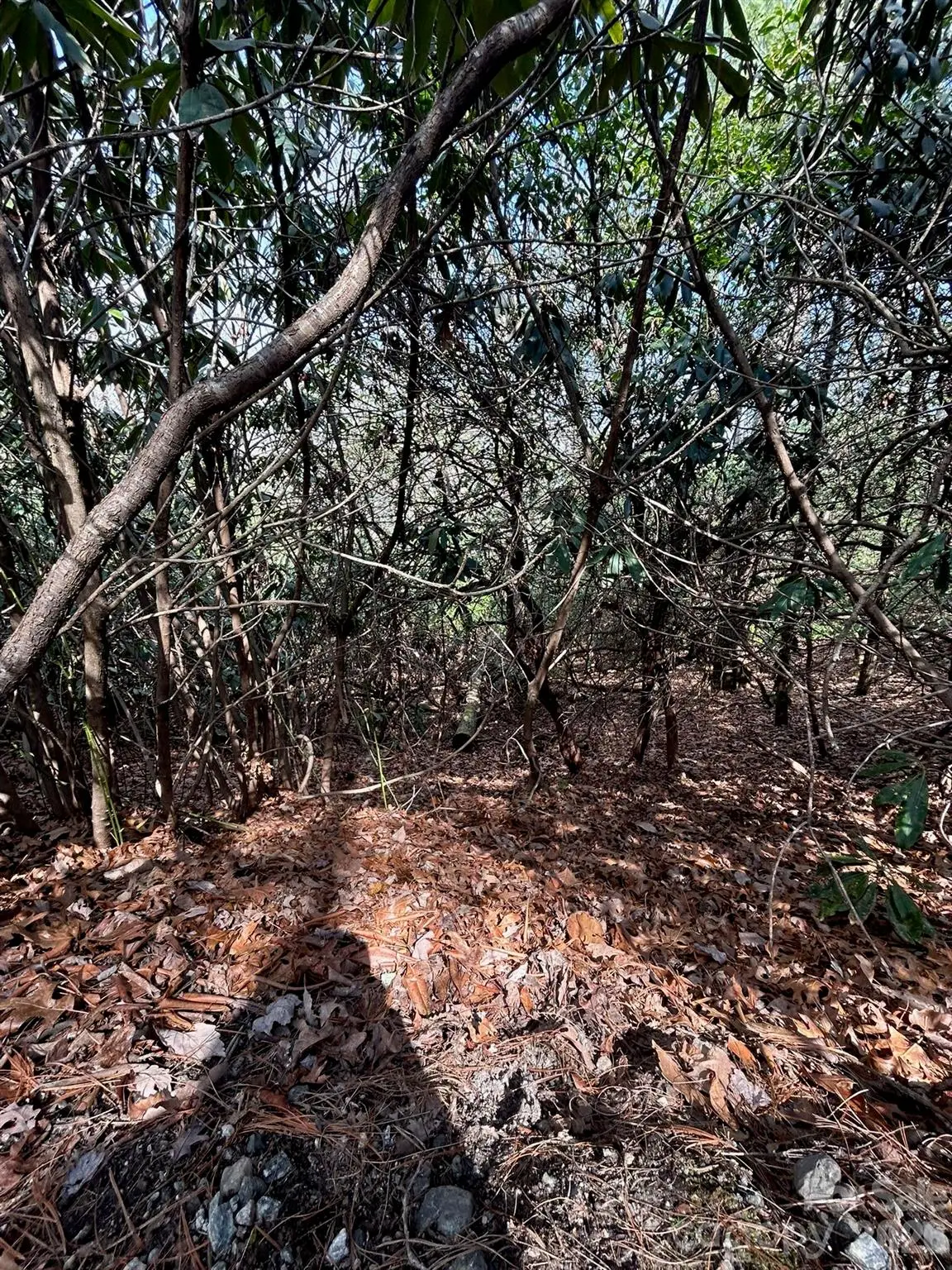 Lot 38 High Peak Road, Hendersonville, NC 28739 - #1