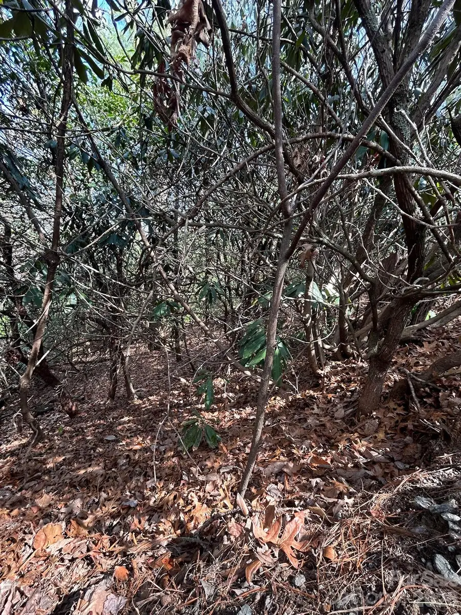 Lot 38 High Peak Road, Hendersonville, NC 28739 - #2