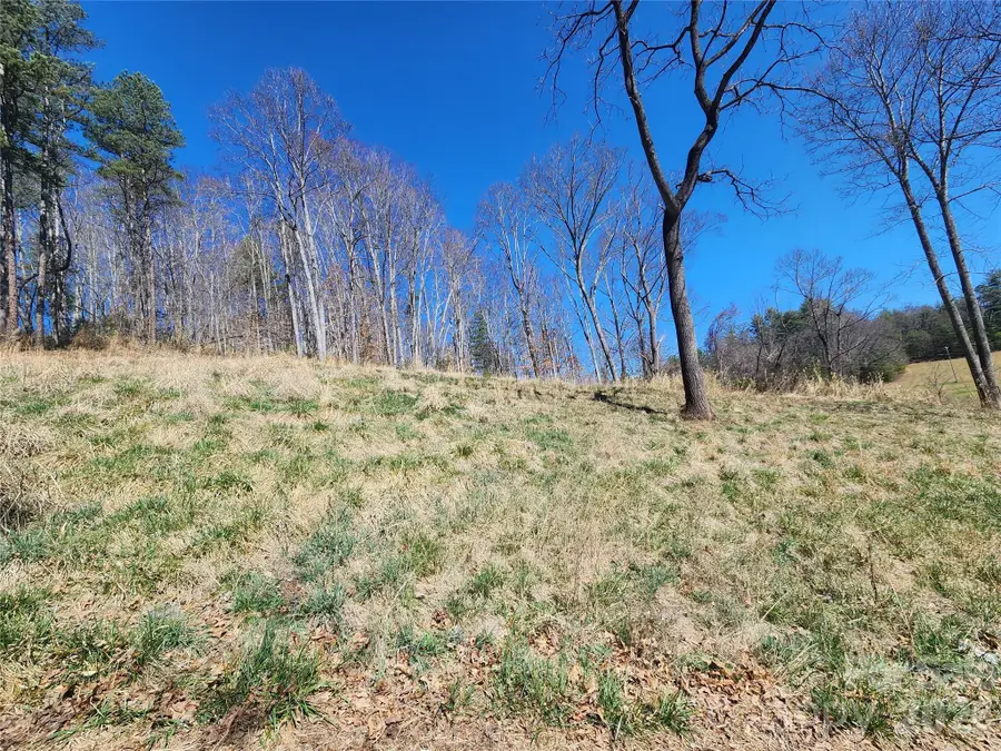 9999 Country Drive, Mars Hill, NC 28754 - #3