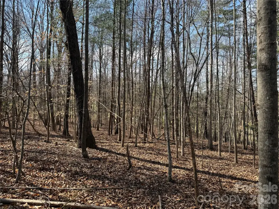 0 Conley Road, Morganton, NC 28655 - #3