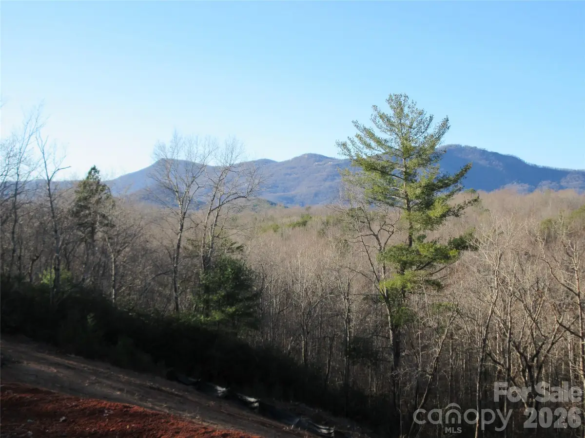 0 Levi Road, Columbus, NC 28722 - #1