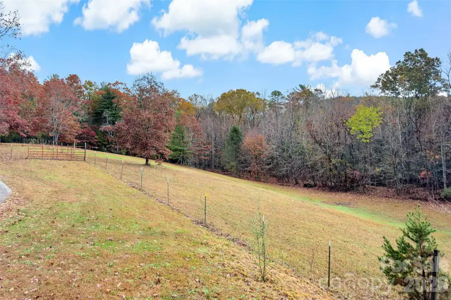 65 Gypsy Mountain Drive, Marion, NC 28752 - #3