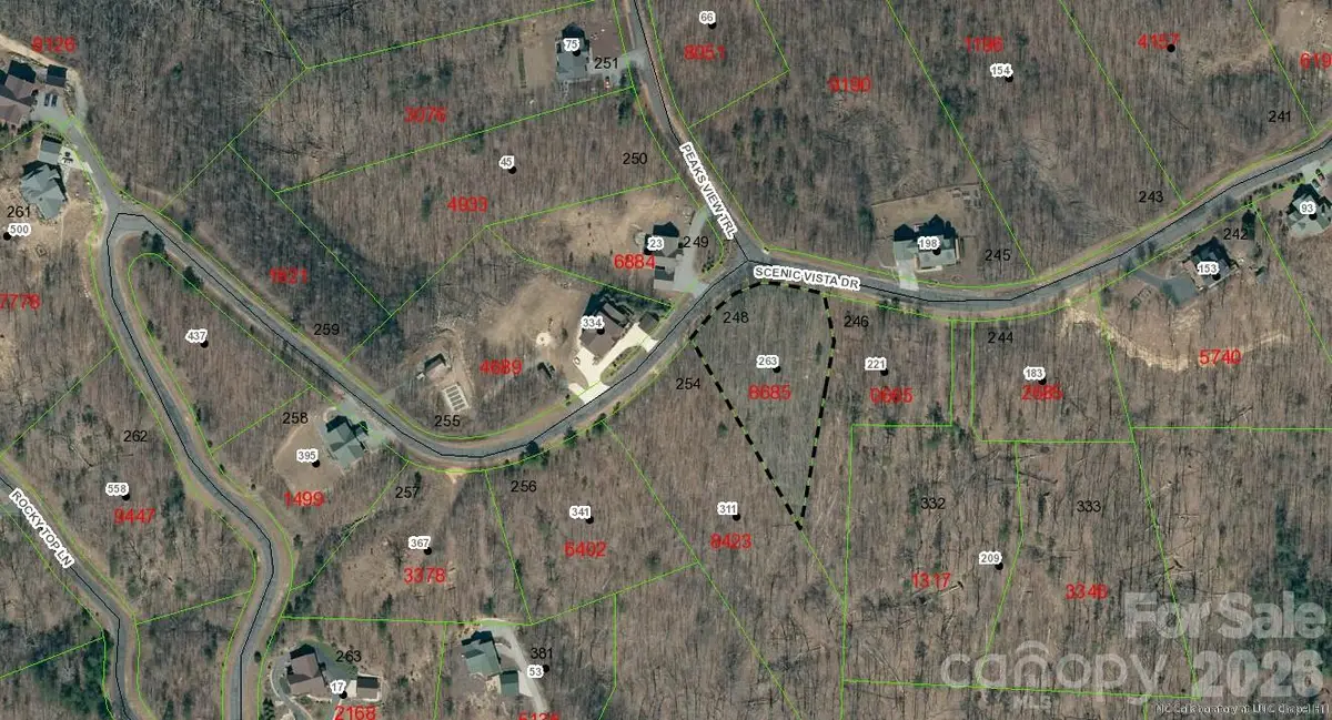 V/L Scenic Vista Drive #248, Nebo, NC 28761 - #1