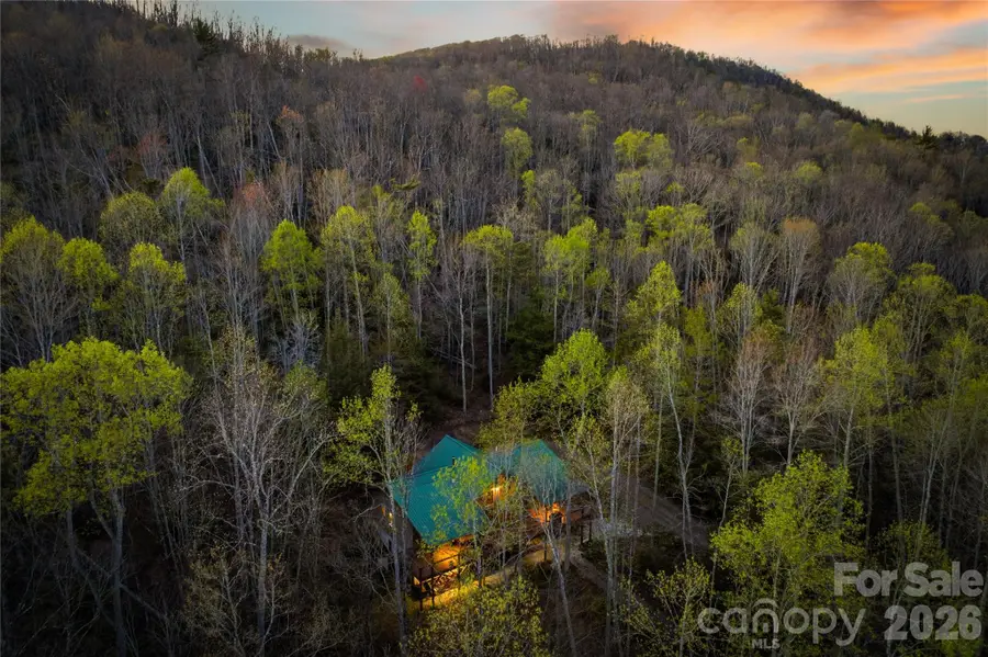 163 Bear Track Lane, Vilas, NC 28692 - #2