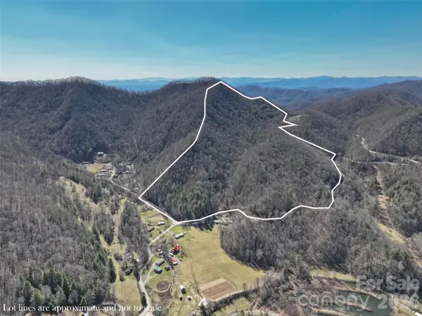 0000 Grapevine Road, Marshall, NC 28753