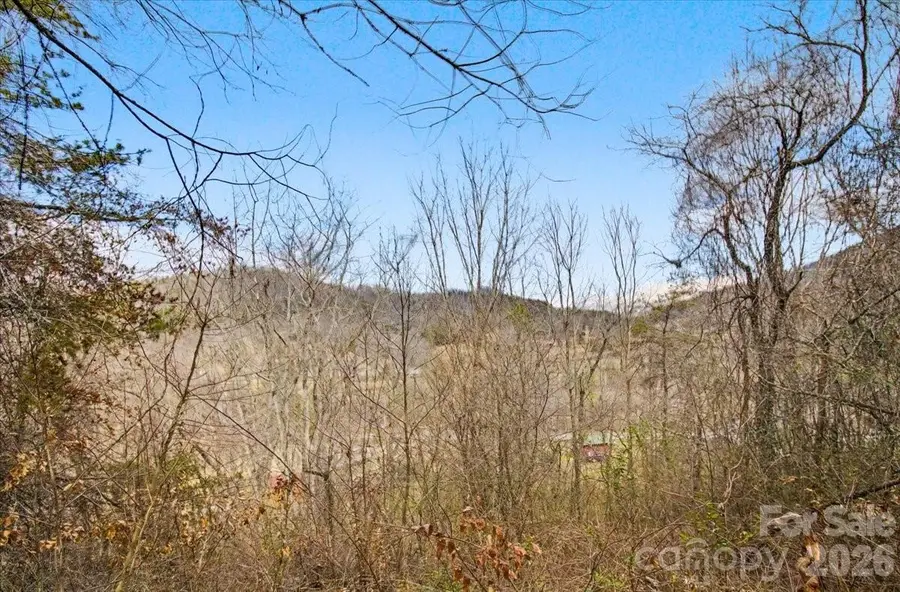 TBD Barberry Acres Road, Candler, NC 28715 - #2
