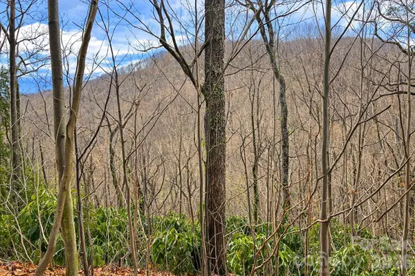 11 Majestic Overlook Way #36, Candler, NC 28715