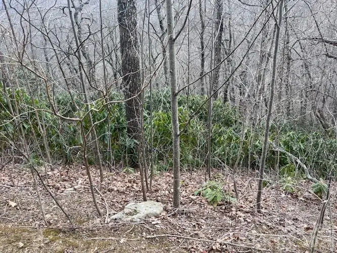 11 Majestic Overlook Way #36, Candler, NC 28715 - #3